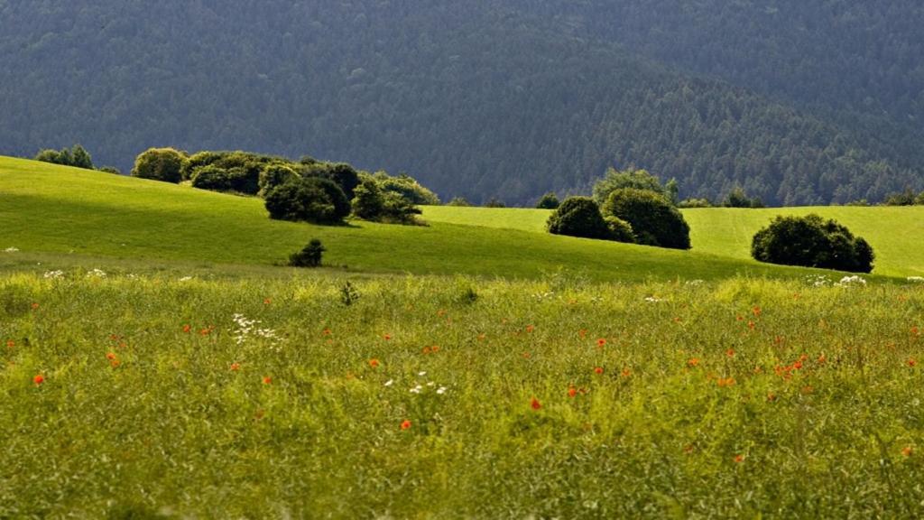 Penzion Mlynarov Dvor Dubrava 外观 照片