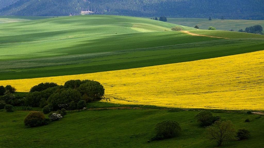 Penzion Mlynarov Dvor Dubrava 外观 照片
